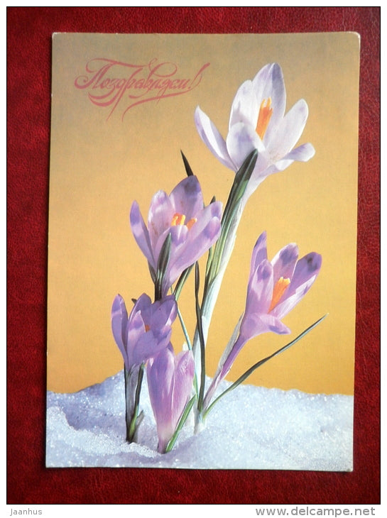 Greeting Card - crocus - flowers - 1987 - Russia USSR - unused - JH Postcards