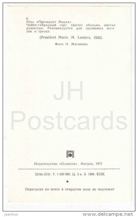 President Mancia - flowers - Roses - Russia USSR - 1973 - unused - JH Postcards