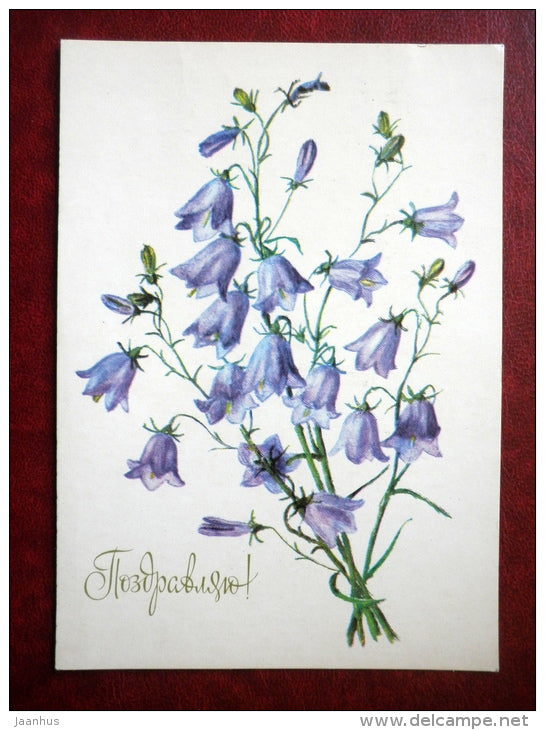 Greeting Card - by L. Gasiyeva - Bellflowers - flowers - 1981 - Russia USSR - used - JH Postcards