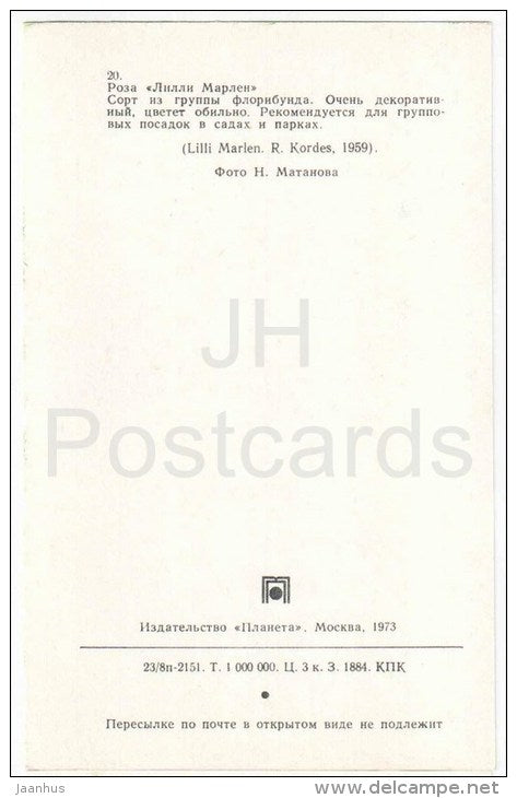 Lili Marleen - flowers - Roses - Russia USSR - 1973 - unused - JH Postcards