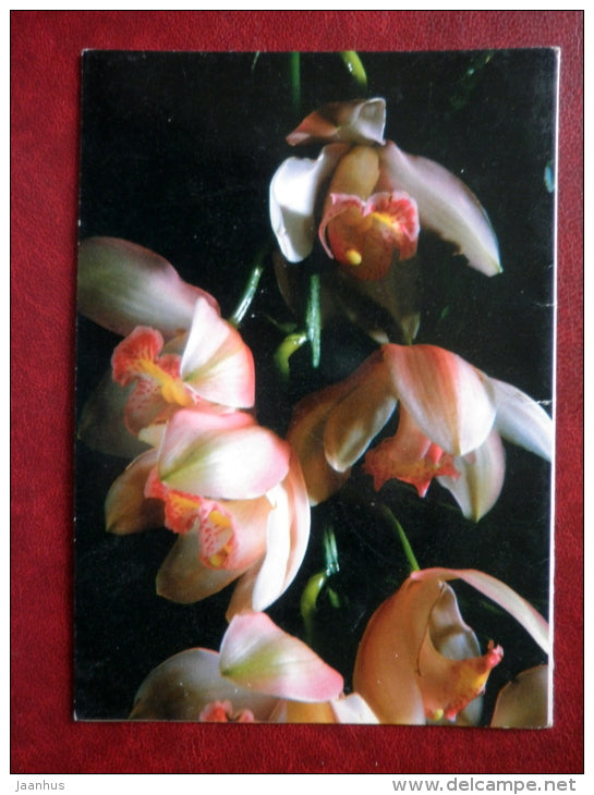 Greeting Card - orchid - flowers - used - JH Postcards