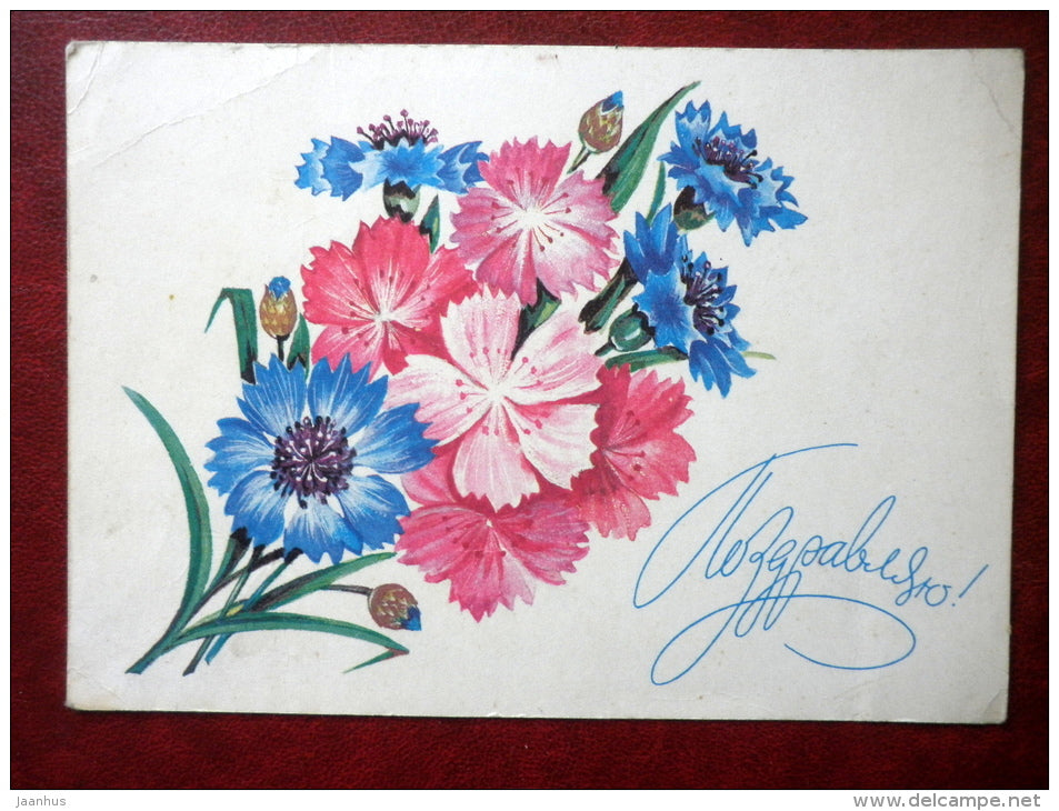 Greeting Card - by A. Murahin - cornflowers - flowers - 1981 - Russia USSR - used - JH Postcards