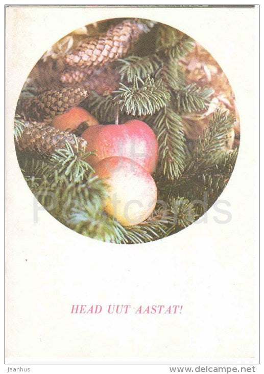 New Year Greeting card - apple - cone - fir - 1985 - Estonia USSR - used - JH Postcards