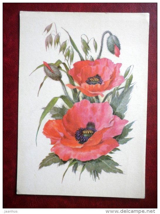 Greeting Card - poppy - flowers - 1975 - Russia USSR - used - JH Postcards