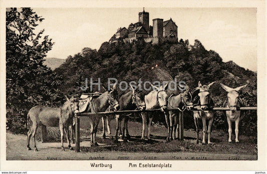 Wartburg - Am Eselstandplatz - donkey - animals - old postcard - Germany - unused - JH Postcards