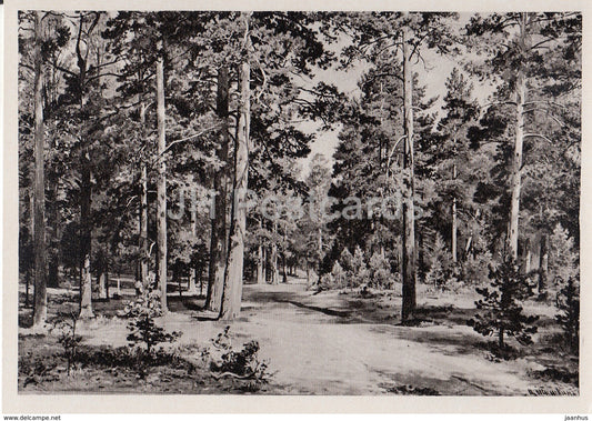 painting by I. Shishkin - Morning in the Pine Forest - Russian art - 1953 - Germany DDR - unused