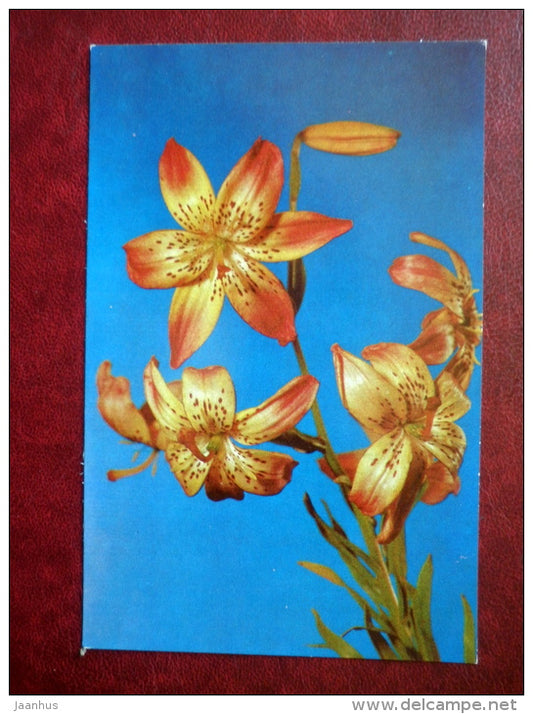 Greeting Card - lily Corsage - flowers - 1981 - Russia USSR - unused - JH Postcards