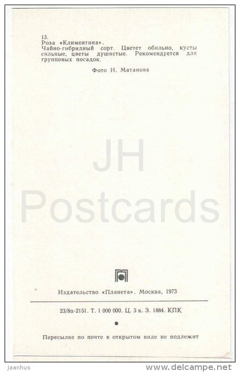 Clementine - flowers - Roses - Russia USSR - 1973 - unused - JH Postcards