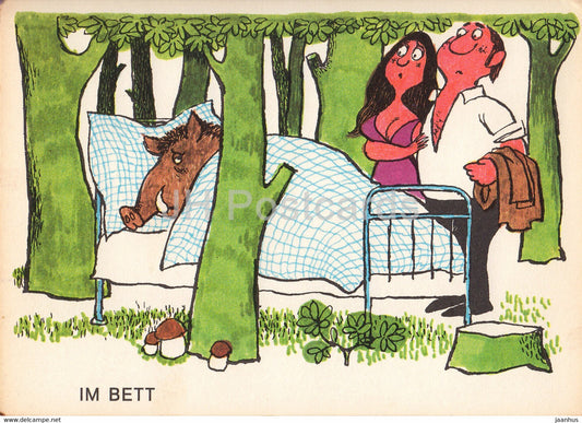 Im Bett - Wild Boar - couple - Horrido & Weidmannsheil - humour - DDR Germany - unused - JH Postcards