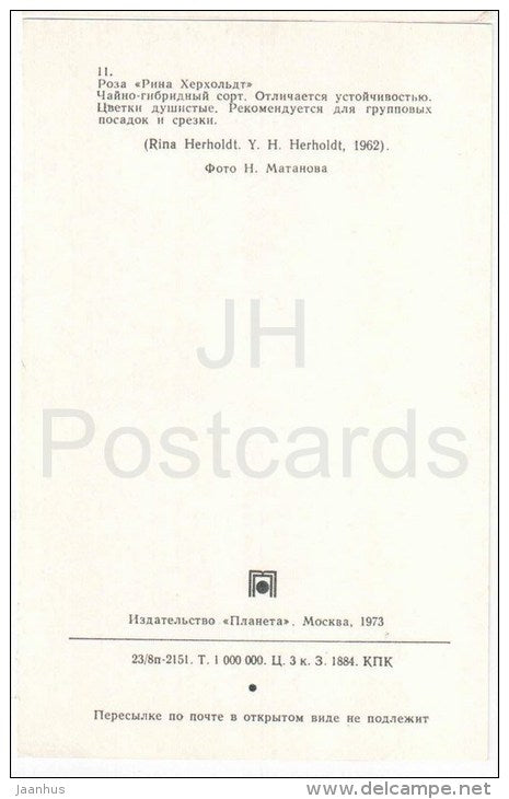 Rina Herholdt - flowers - Roses - Russia USSR - 1973 - unused - JH Postcards