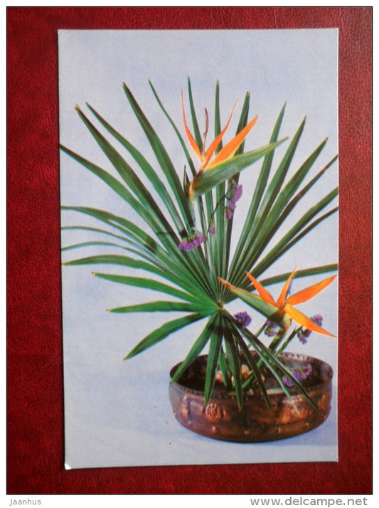 Greetin Card - composition - flowers - 1975 - Russia USSR - unused - JH Postcards