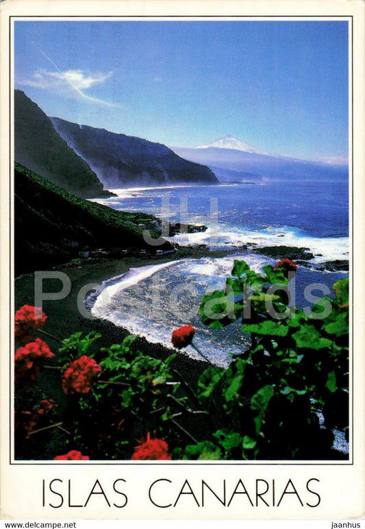 Islas Canarias - Geranium - 116 - 1989 - Spain - used - JH Postcards