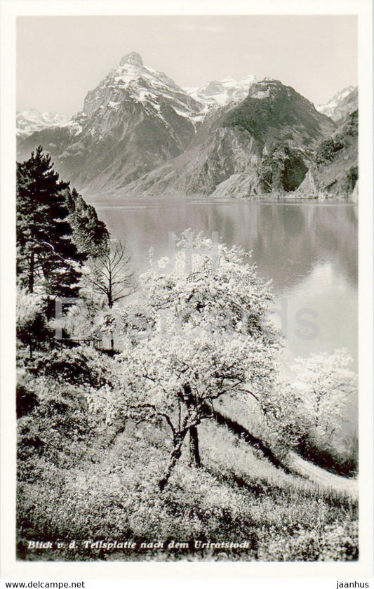 Blick v d Tellsplatte nach dem Urirotstock - 34 - old postcard - Switzerland - unused - JH Postcards