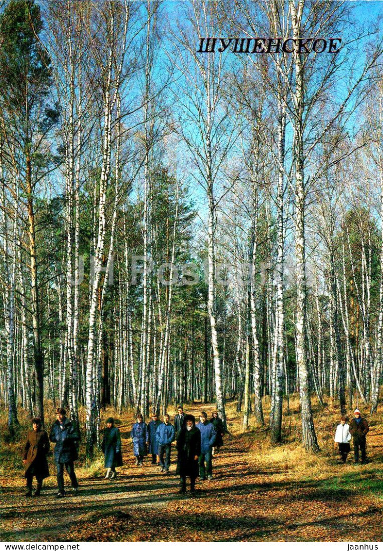 Shushenskoye - Lenin's Exile in Siberia Museum - In Shushenskoe area - 1987 - Russia USSR - unused - JH Postcards