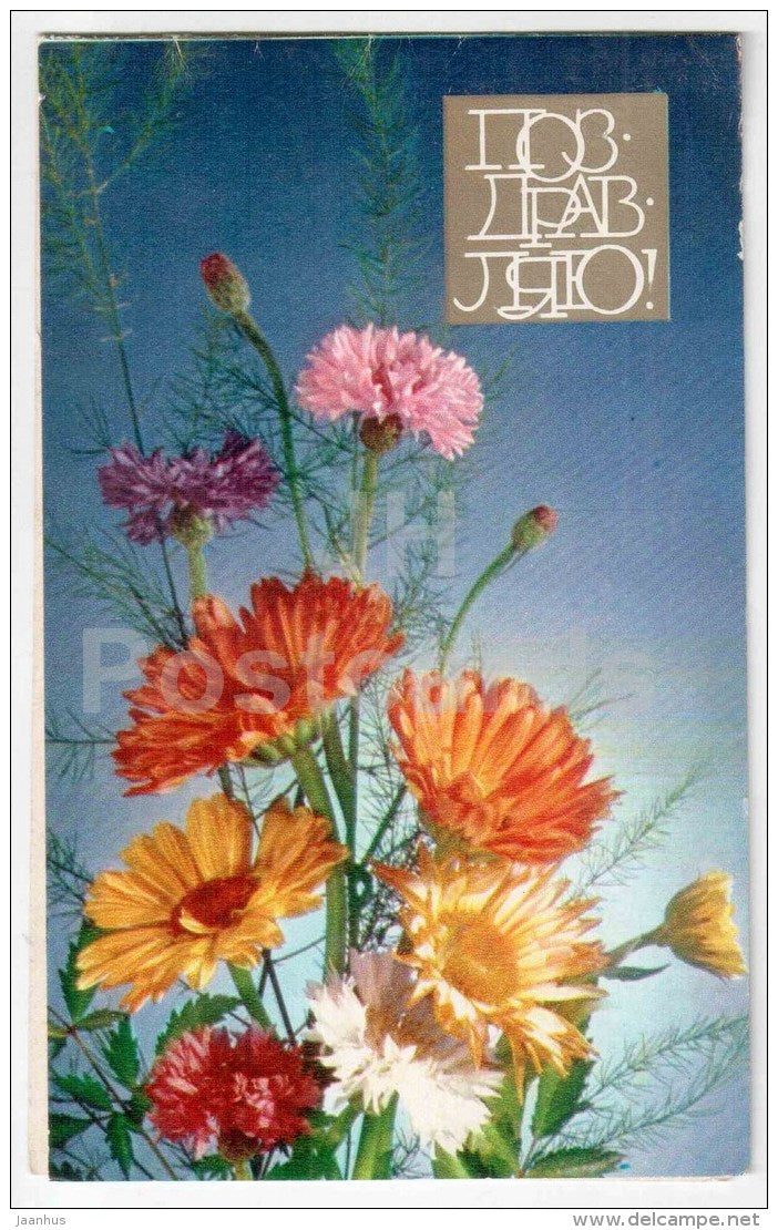 greeting card - gerbera - carnation - flowers - 1980 - Russia USSR - used - JH Postcards