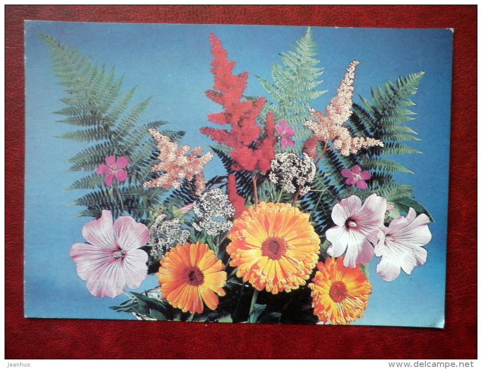 Greeting card - fern - Astilbe - flowers - 1990 - Russia USSR - used - JH Postcards