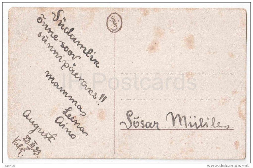 Greeting Card - Narcissus - catkins - flowers - Ser 2057 - circulated in Estonia 1923 - JH Postcards