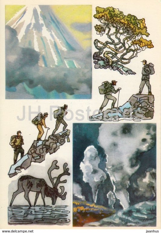 reindeer - volcano - Erman's birch - Kronotsky Nature Reserve - 1975 - Russia USSR - unused - JH Postcards