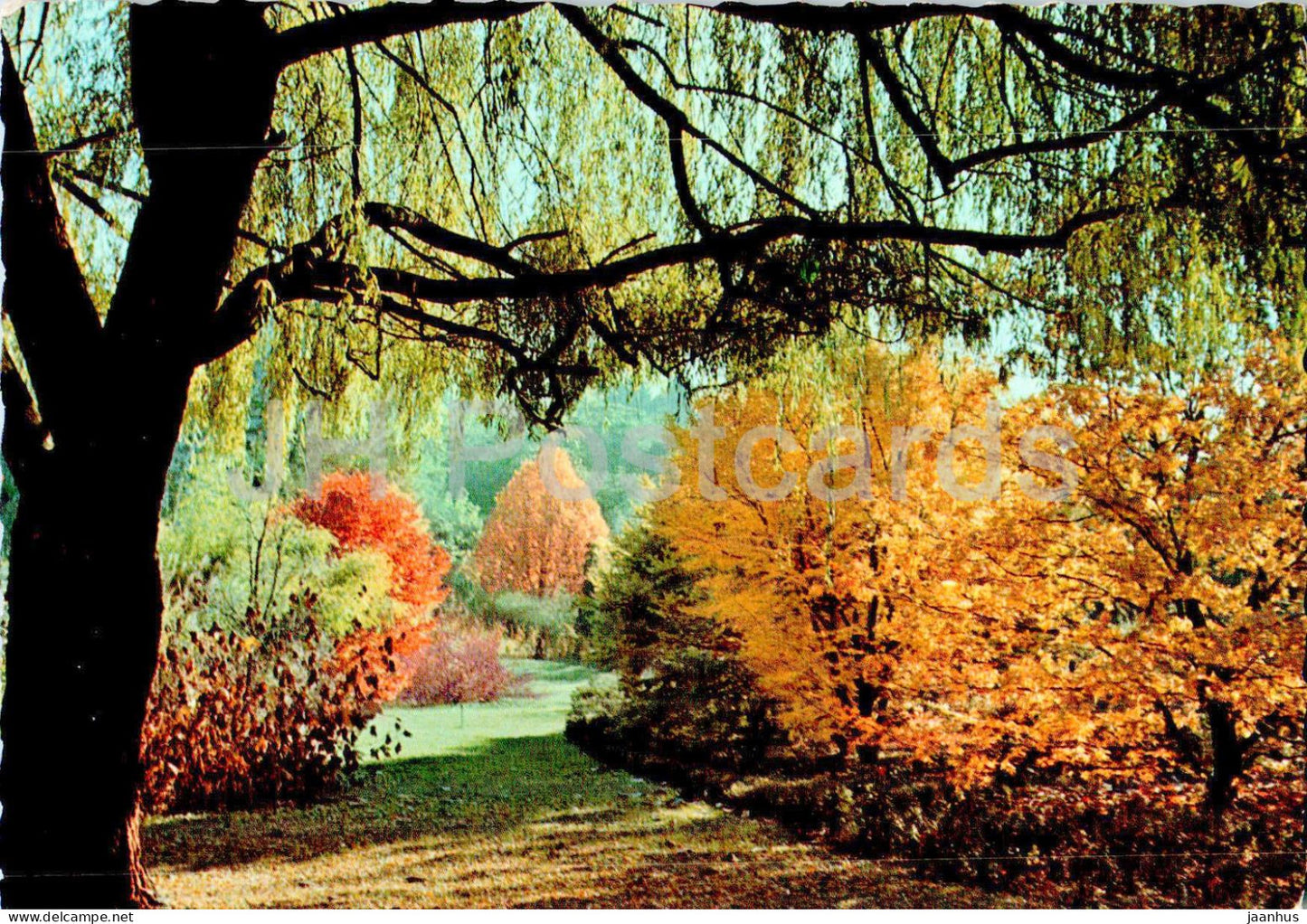 Verbania Pallanza - Giardini Villa Taranto - garden - 1964 - Italy - used - JH Postcards