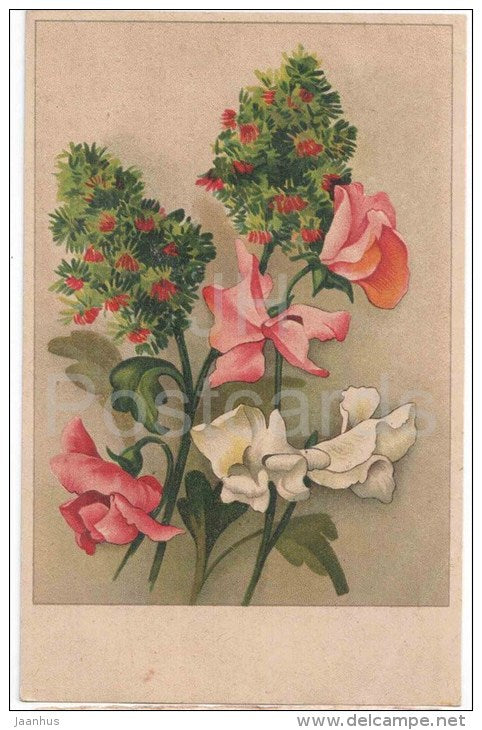 flowers - old postcard - circulated in Estonia Viljandi 1930s - JH Postcards