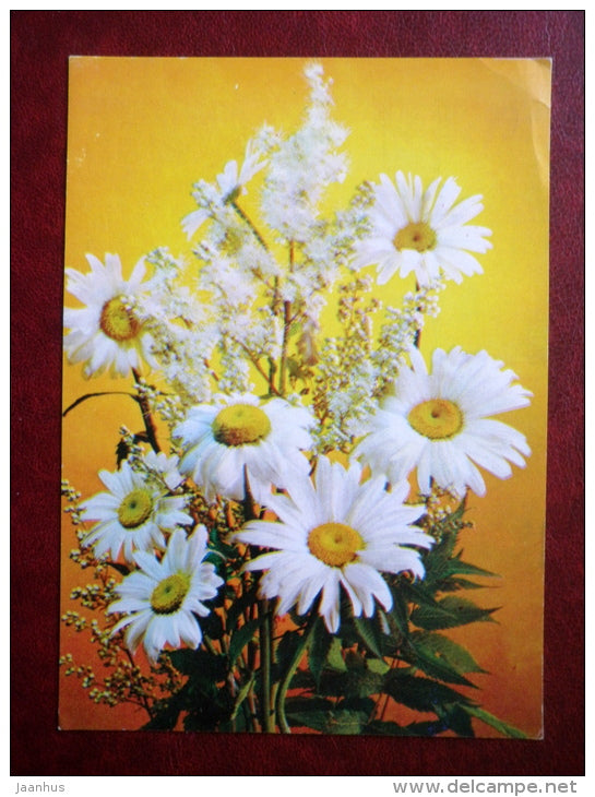 Greeting Card - daisies - flowers - 1981 - Russia USSR - used - JH Postcards