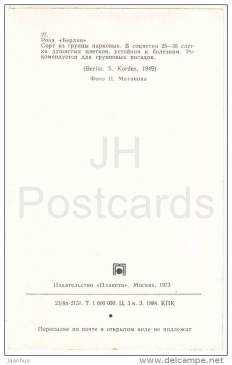 Berlin - flowers - Roses - Russia USSR - 1973 - unused - JH Postcards