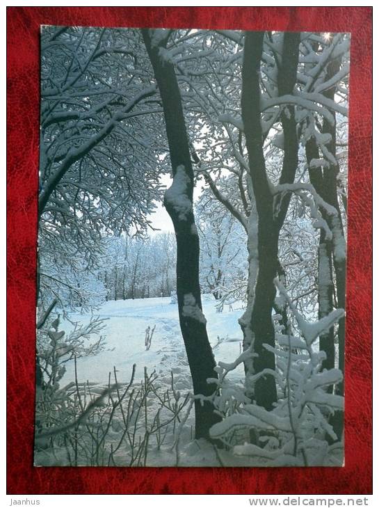 winter forest - 1987 - Russia - USSR - unused - JH Postcards