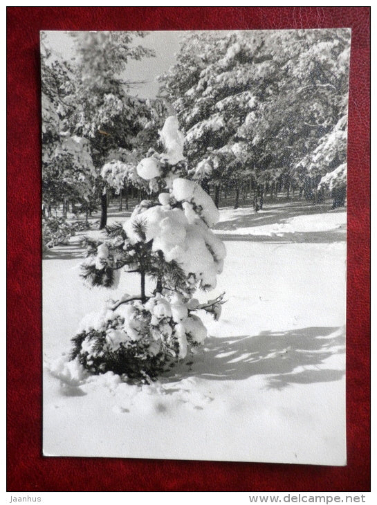 New Year Greeting card - Winter Landscape - 1973 - Estonia USSR - used - JH Postcards