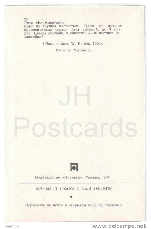 Flammentanz - flowers - Roses - Russia USSR - 1973 - unused - JH Postcards