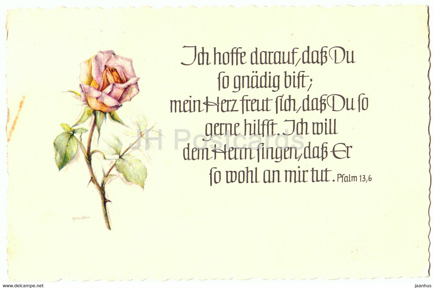 Ich hoffe darauf dass du so gnadig bist - rose - flowers - illustration - SJD 4179 - old postcard - 1958 - used - JH Postcards