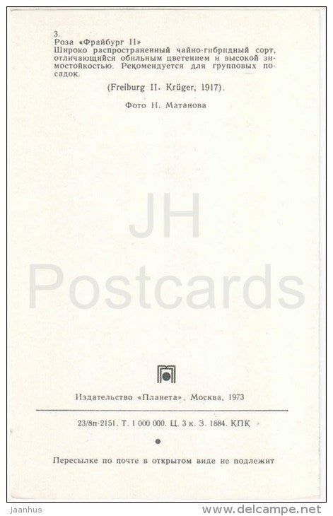 Freiburg II - flowers - Roses - Russia USSR - 1973 - unused - JH Postcards