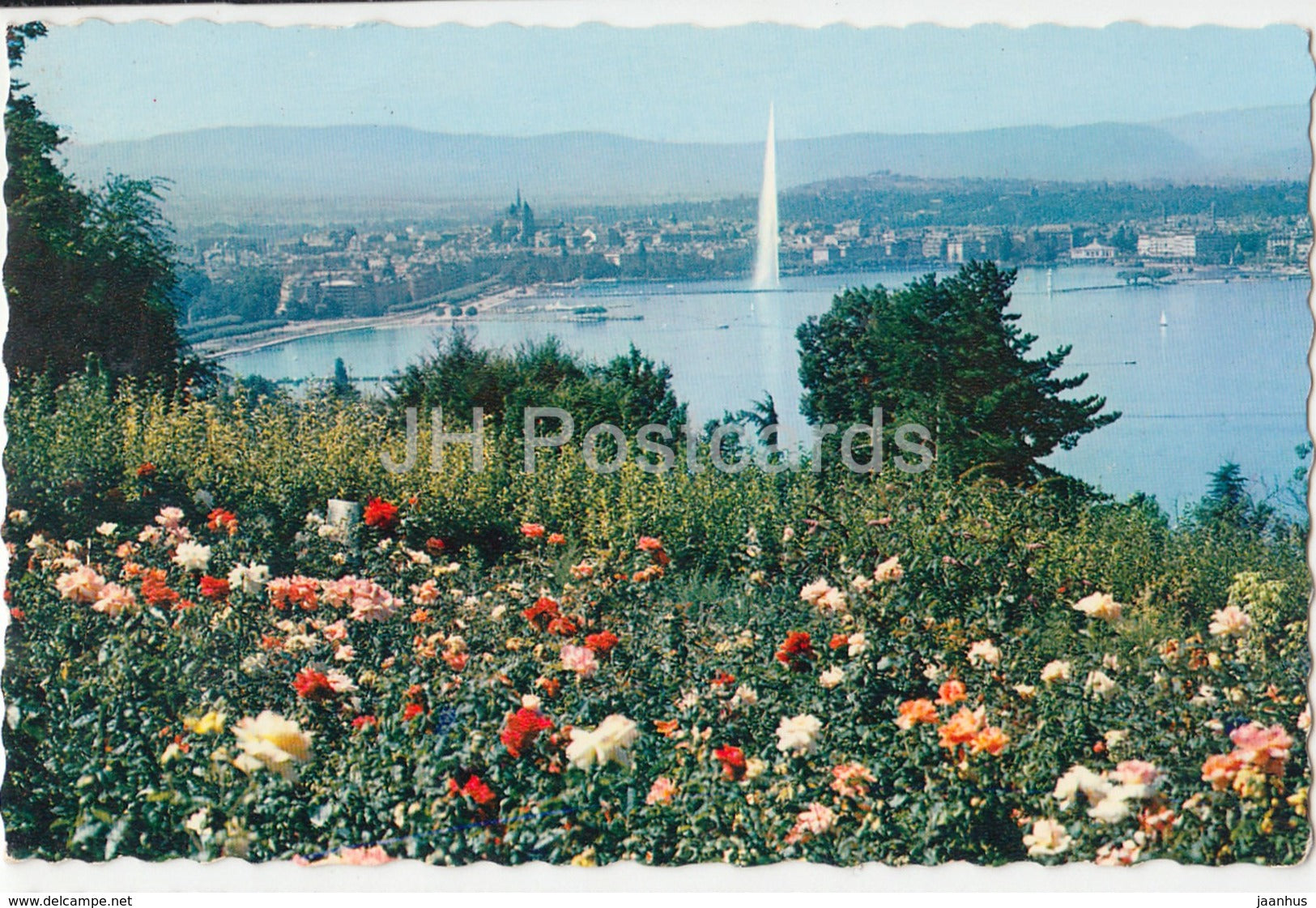 Geneve - Geneva - Le Lac - Le Jet d'Eau et la Ville depuis le coteau de Cologny - 515 - Switzerland - 1962 - used - JH Postcards