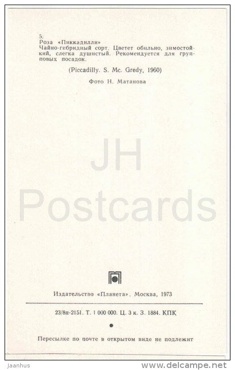 Piccadilly - flowers - Roses - Russia USSR - 1973 - unused - JH Postcards