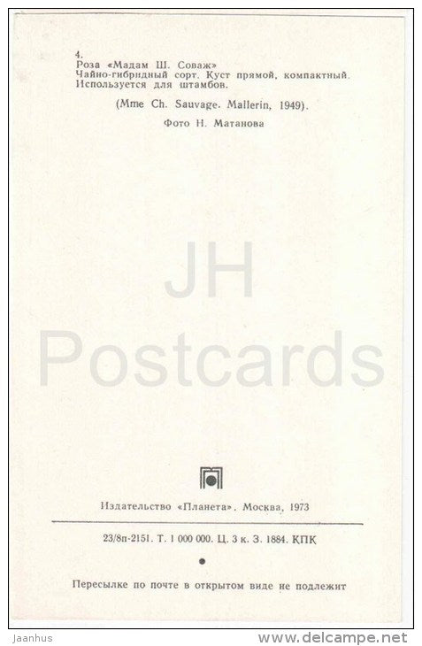 Mme Ch. Sauvage - flowers - Roses - Russia USSR - 1973 - unused - JH Postcards