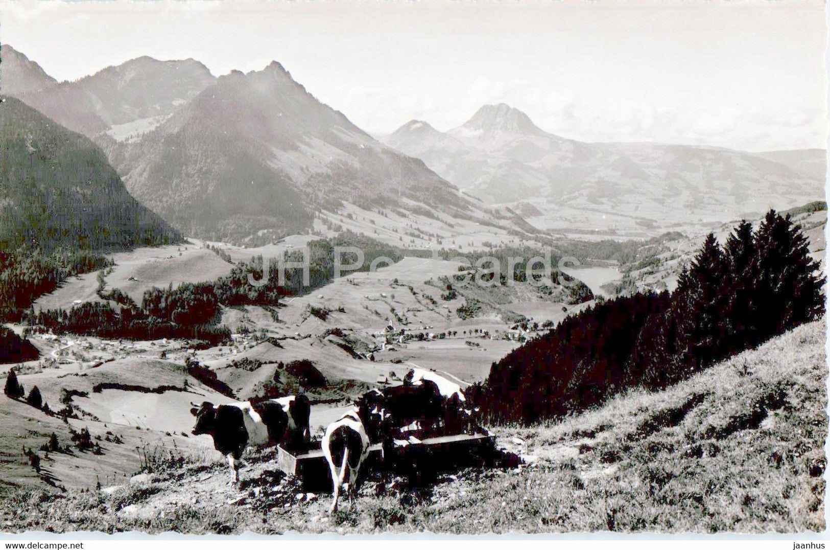 Charmey et Vallee de la Jogne - animals - cow - 741 - 1946 - old postcard - Switzerland - used - JH Postcards