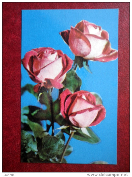 Greeting Card - red roses - flowers - 1975 - Lithuania USSR - used - JH Postcards