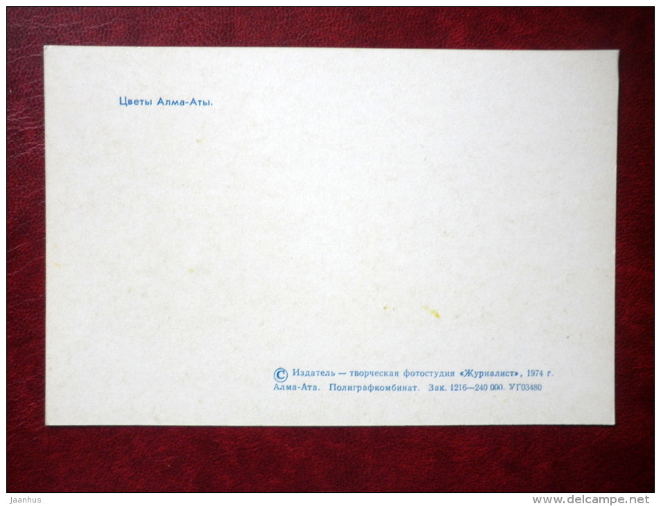 flowers of Almaty - Almaty - Alma-Ata - 1974 - Kazakhstan USSR - unused - JH Postcards