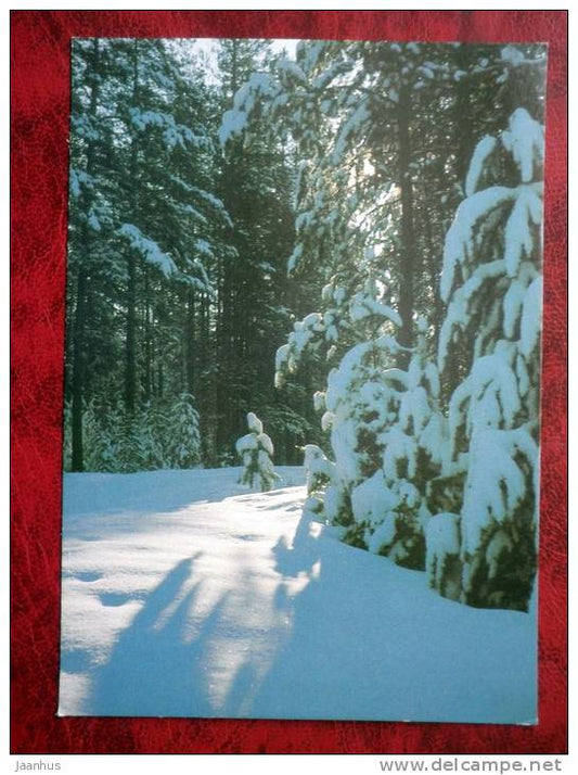 winter forest_1 - 1987 - Russia - USSR - unused - JH Postcards