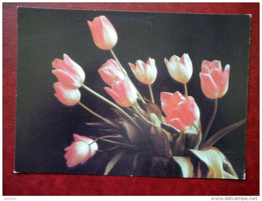 Greeting card - red tulips - flowers - 1990 - Russia USSR - used - JH Postcards