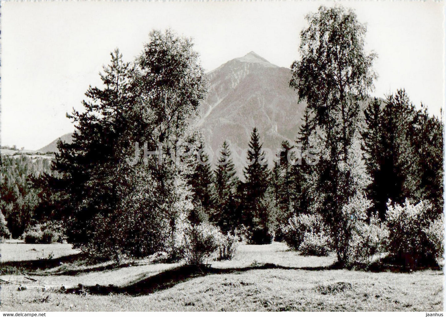 Alvaneu Bad - Blick auf die Muchetta - 1947 - old postcard - Switzerland - used - JH Postcards