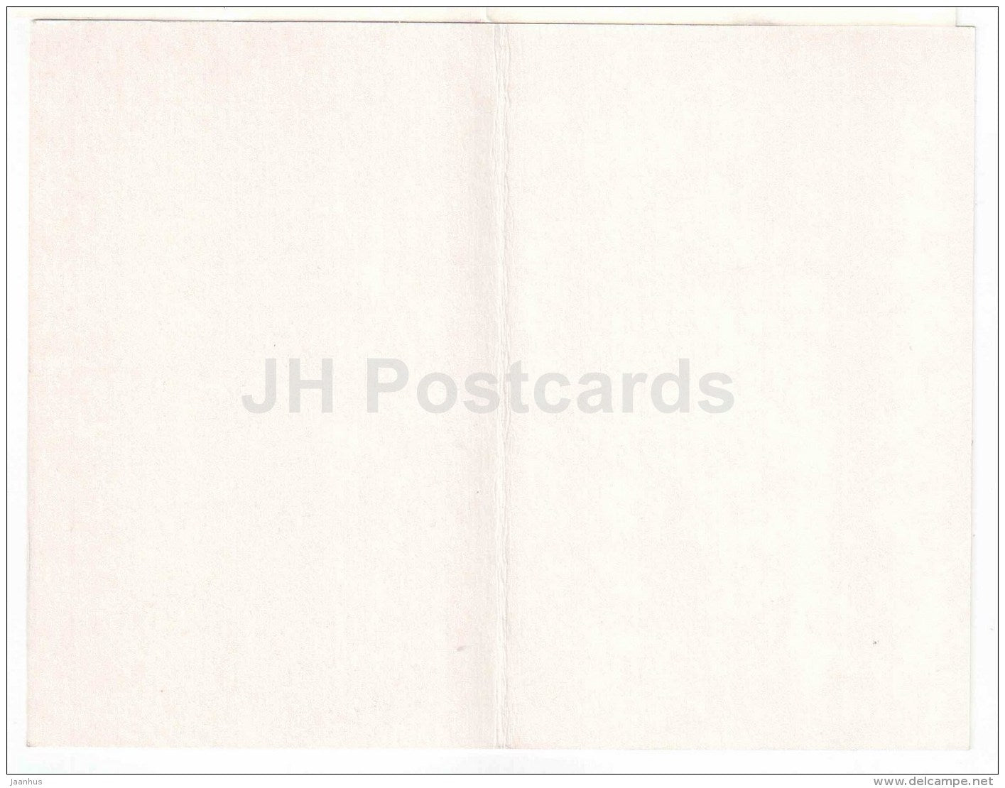 New Year Greeting Card - roses - cones - fir - 1970 - Russia USSR - unused - JH Postcards