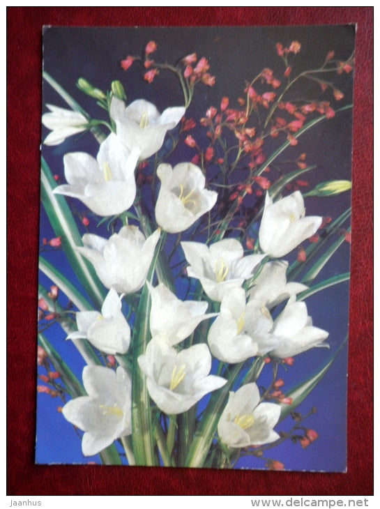 Greeting card - white flowers - flowers - 1989 - Russia USSR - unused - JH Postcards