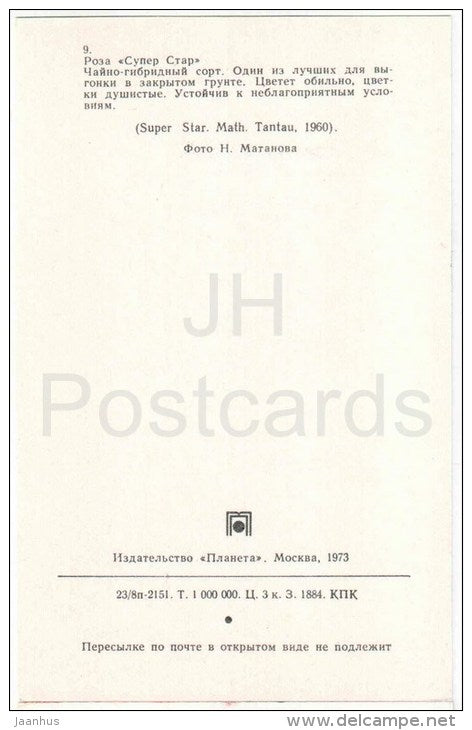 Super Star - flowers - Roses - Russia USSR - 1973 - unused - JH Postcards