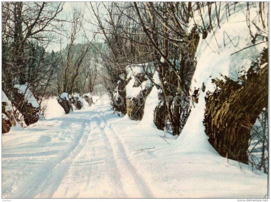 winter in the Glen of Lorupe - Sigulda views - 1963 - Latvia USSR - unused - JH Postcards