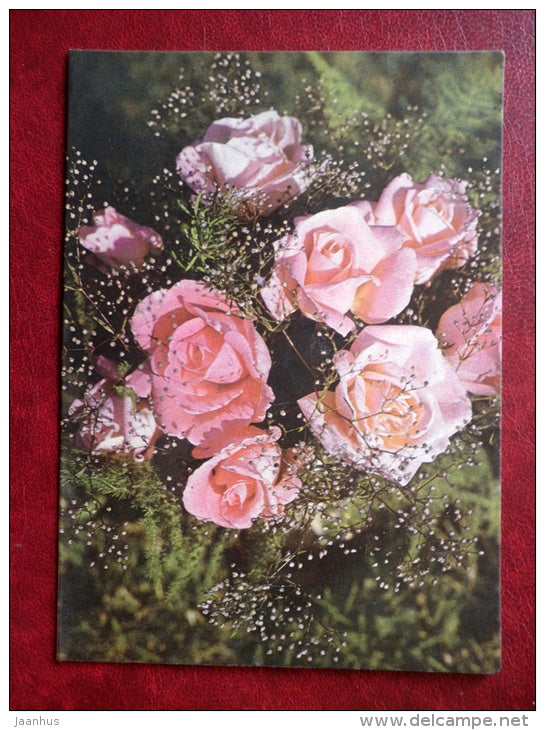 Greeting card - pink roses - flowers - 1985 - Estonia USSR - used - JH Postcards