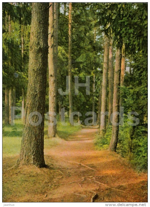 Parogre park - Ogre - old postcard - Latvia USSR - unused - JH Postcards