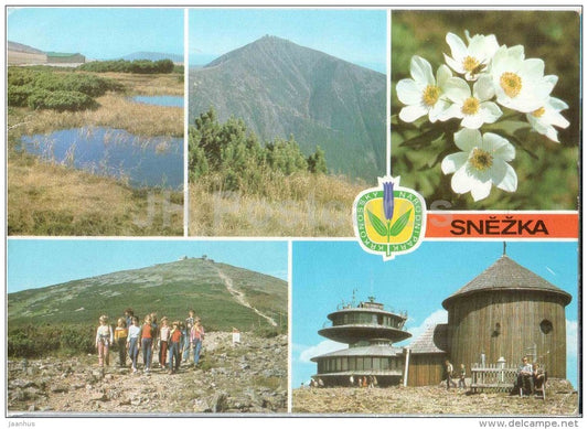 Snezka mountain - Krkonose - flowers - Czechoslovakia - Czech - used 1989 - JH Postcards