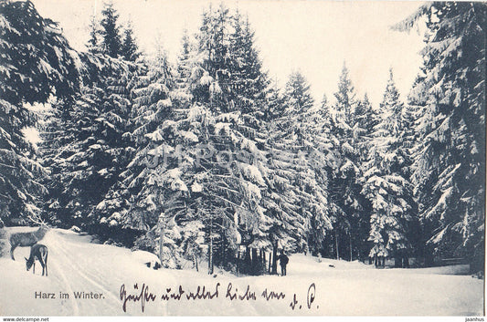 Harz im Winter - old postcard - 1915 - Germany - used - JH Postcards