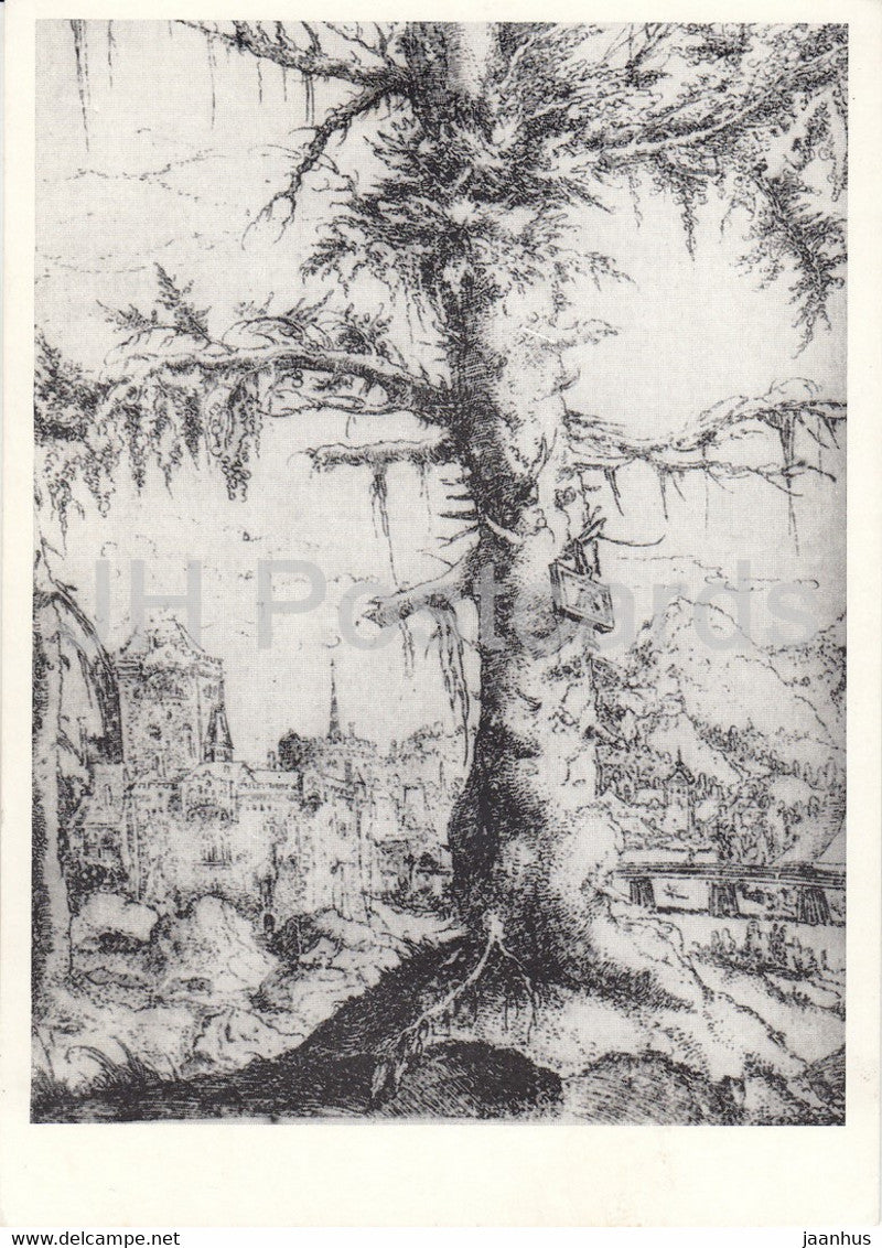 painting by Albrecht Altdorfer - Landschaft mit Fichte - Landscape with spruce - German art - 1977 - Germany - unused - JH Postcards