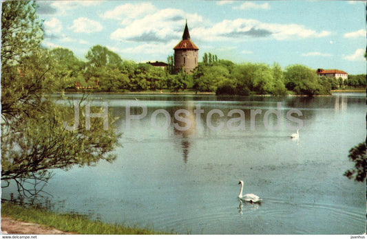 Malmo - The Willow Ponds - old postcard - Sweden - used - JH Postcards